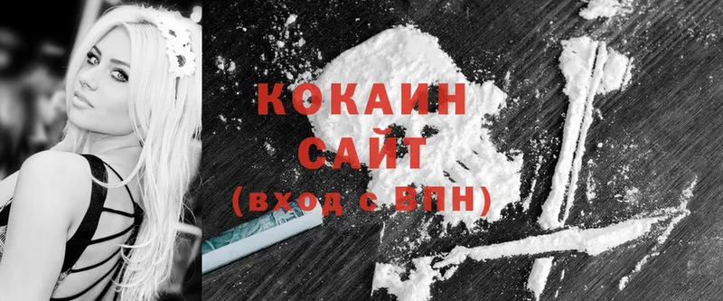 Cocaine FishScale  дарк нет наркотические препараты  Грязи 