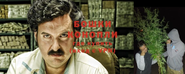 Альфа ПВП Бикин