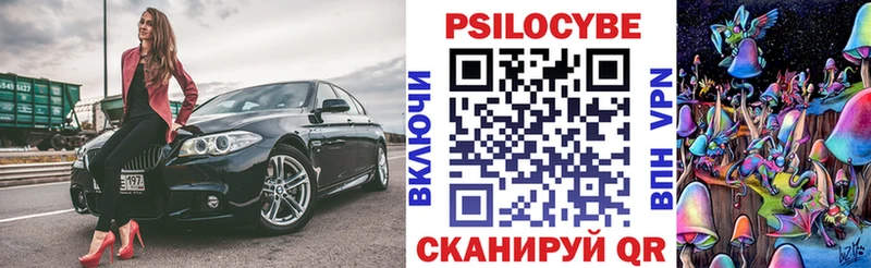 Псилоцибиновые грибы мухоморы  где купить наркоту  Грязи 