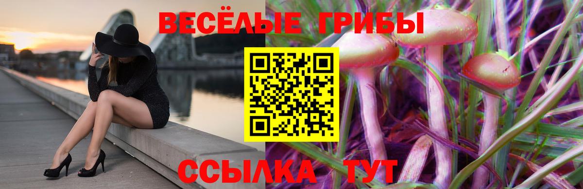 Грязи  Галлюциногенные грибы GOLDEN TEACHER  Вход с VPN 